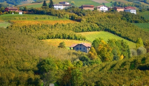Bed and Breakfast Neive, Bed and Breakfast Langhe, Bed and Breakfast Piemonte